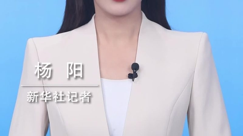 系统集成项目经理职业发展路径：从技术骨干到项目管理高手